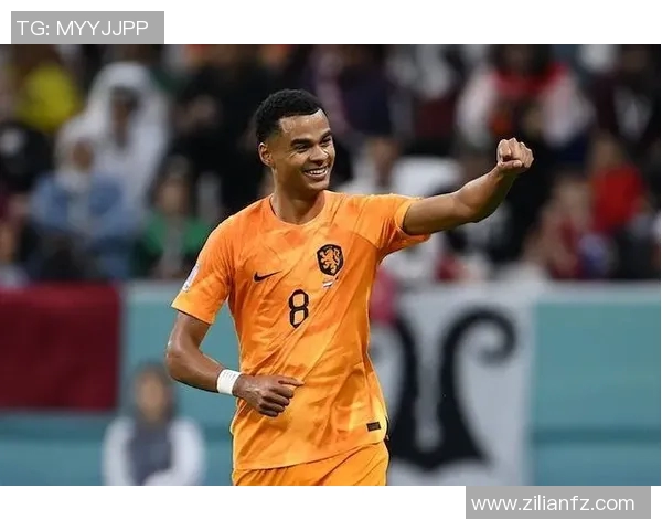 加克波：从新星崛起到足球巨星的奋斗历程与未来展望