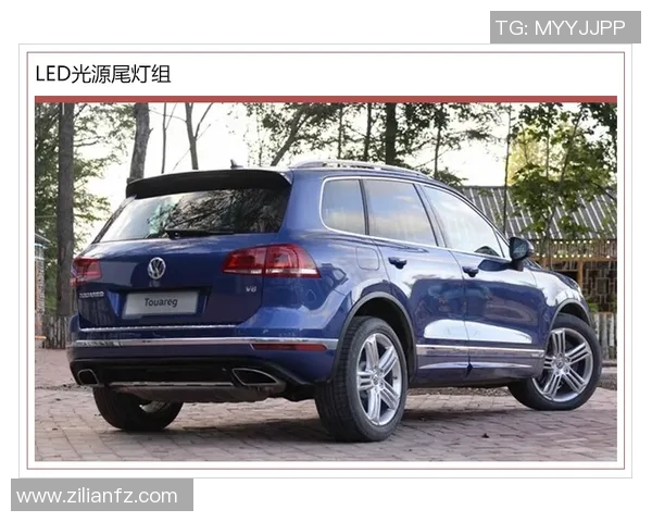 运动的本质从专业竞技到大众参与的深刻转变与影响分析
